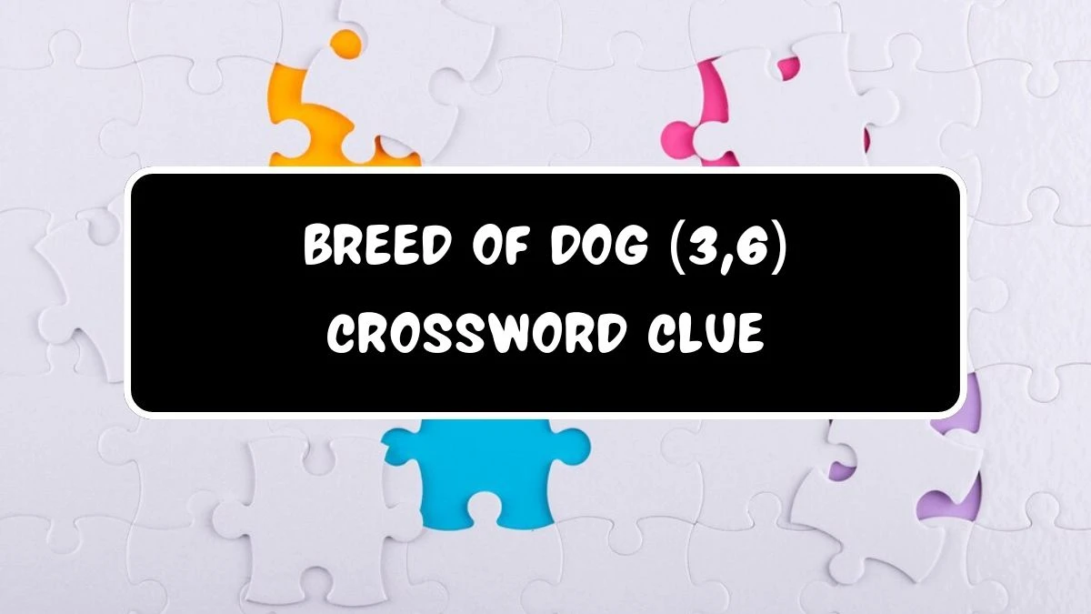 Breed of dog (3,6) Crossword Clue Puzzle Answer from July 18, 2024