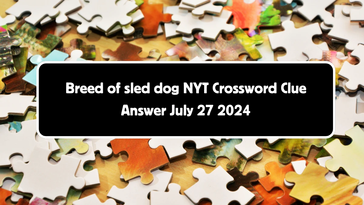 Breed of sled dog NYT Crossword Clue Puzzle Answer from July 27, 2024