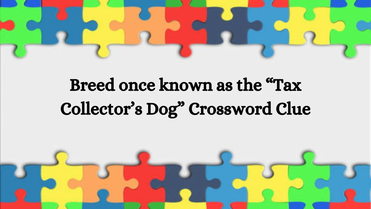 NYT Breed once known as the “Tax Collector’s Dog” Crossword Clue Puzzle Answer from July 26, 2024