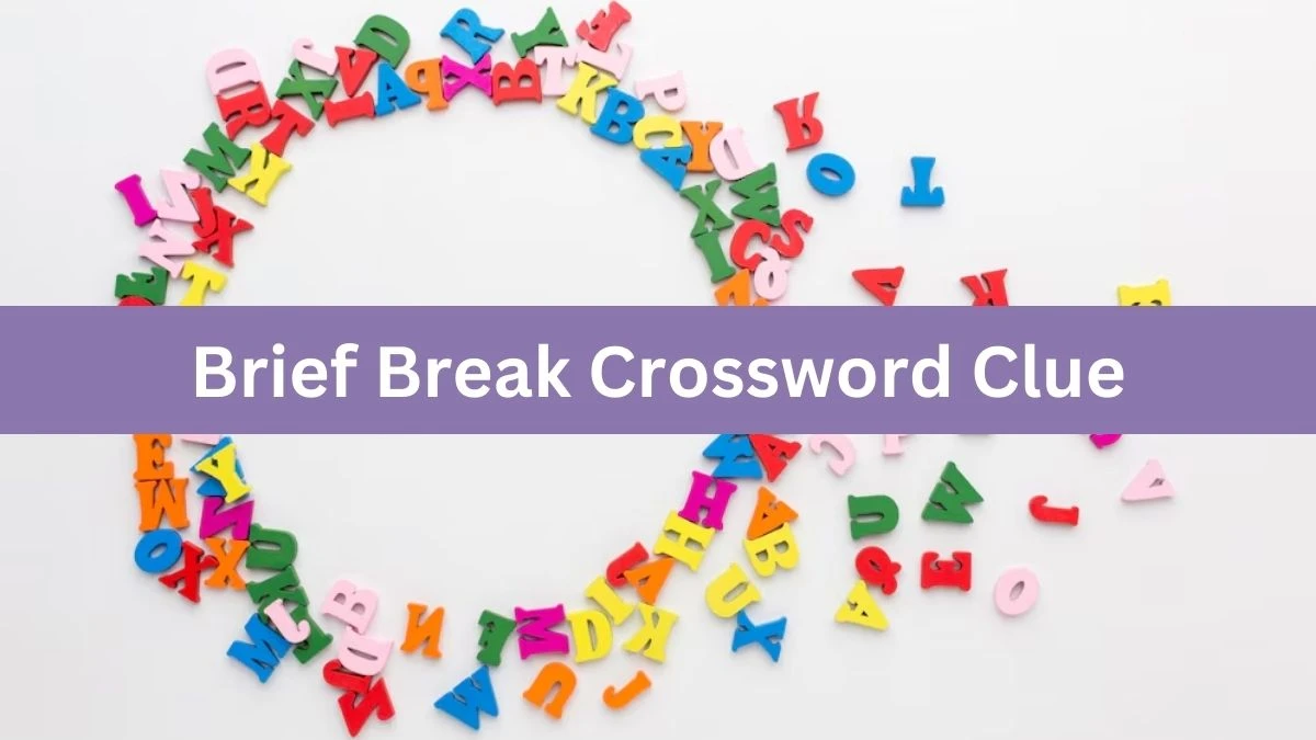 Brief Break Daily Commuter Crossword Clue Puzzle Answer from July 30, 2024