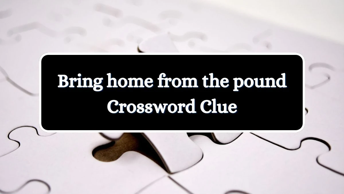 Bring home from the pound LA Times Crossword Clue Puzzle Answer from July 03, 2024