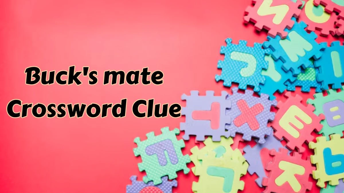 Buck's mate Daily Themed Crossword Clue Puzzle Answer from July 15, 2024