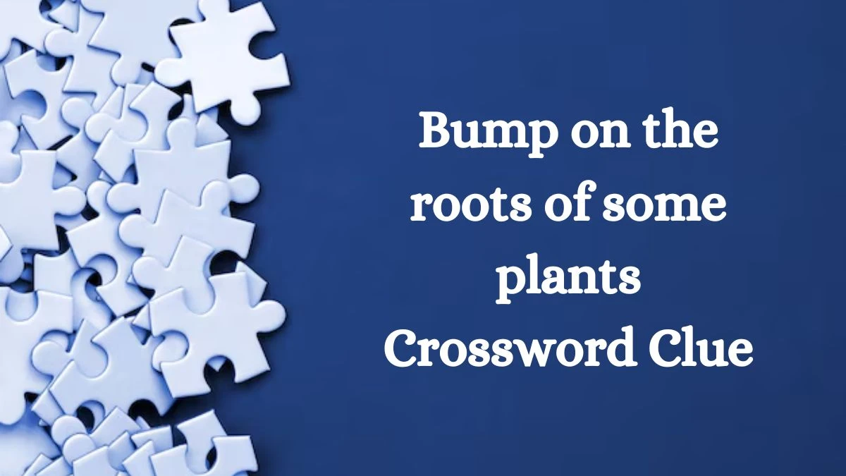 USA Today Bump on the roots of some plants Crossword Clue Puzzle Answer from July 08, 2024