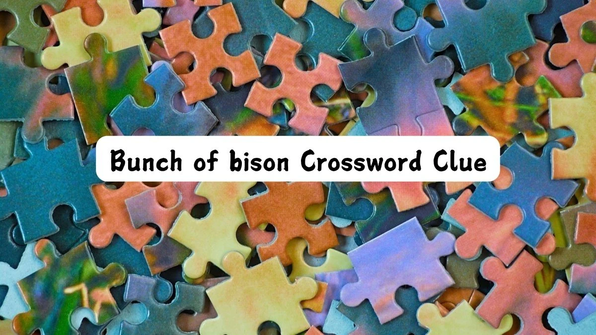 Bunch of bison Universal Crossword Clue Puzzle Answer from July 16, 2024