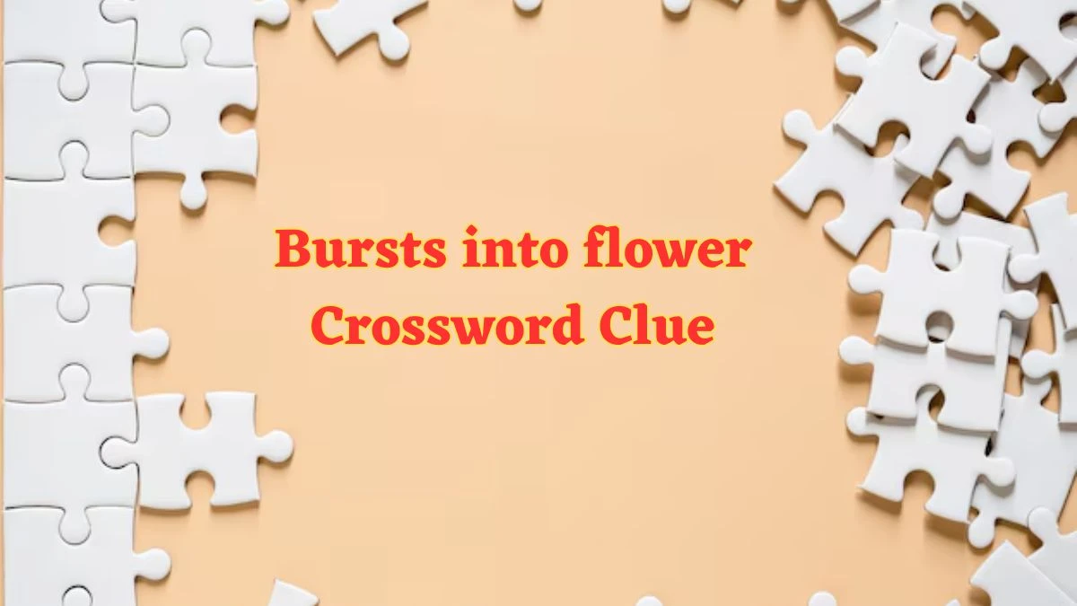 Bursts into flower Daily Commuter Crossword Clue Puzzle Answer from July 04, 2024