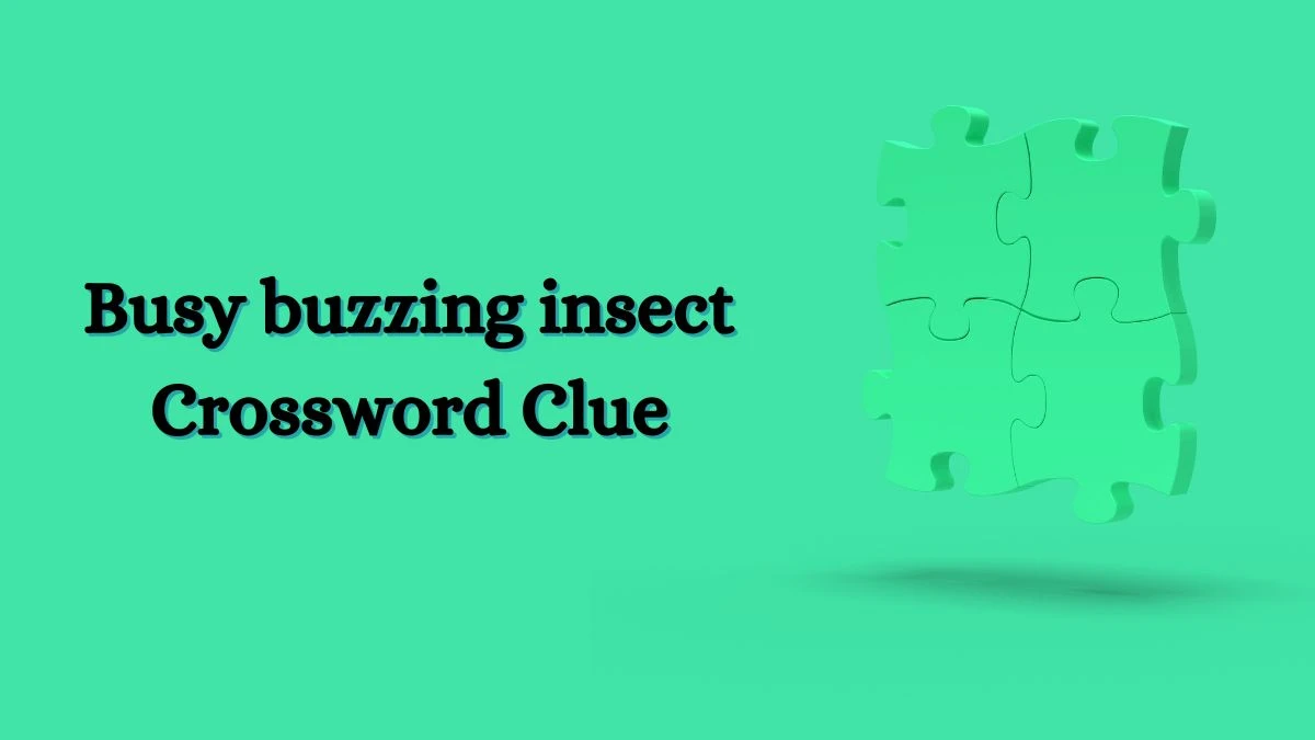 Busy buzzing insect Daily Themed Crossword Clue Puzzle Answer from July 03, 2024