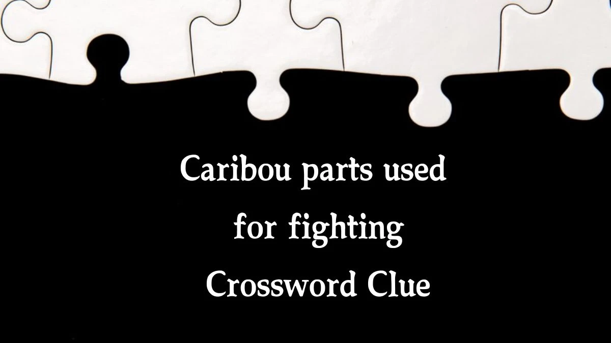 USA Today Caribou parts used for fighting Crossword Clue Puzzle Answer from July 31, 2024