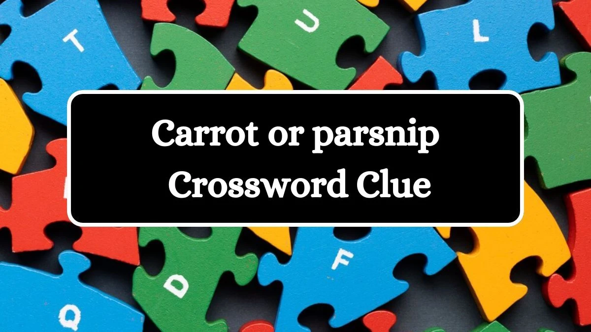 Daily Commuter Carrot or parsnip Crossword Clue Puzzle Answer from July 22, 2024