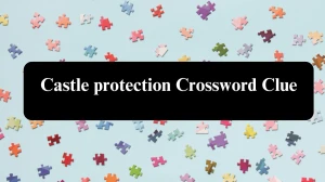 Castle protection Crossword Clue Puzzle Answer from July 30, 2024