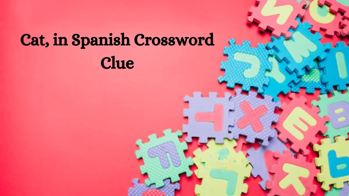 Cat, in Spanish NYT Crossword Clue Answer on July 15, 2024