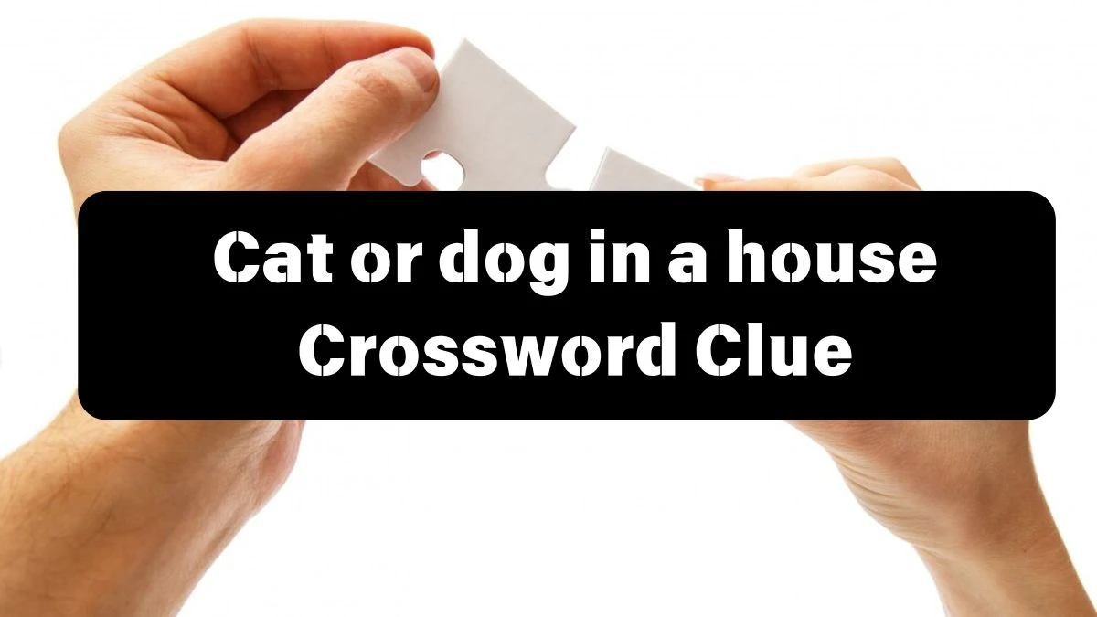 Daily Themed Cat or dog in a house Crossword Clue Puzzle Answer from July 12, 2024