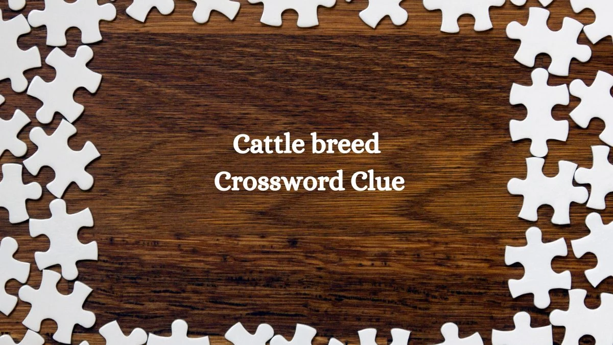 LA Times Cattle breed Crossword Clue Puzzle Answer from July 27, 2024