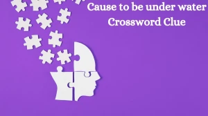 Cause to be under water Irish Daily Mail Quick Crossword Clue Puzzle Answer from September 03, 2024