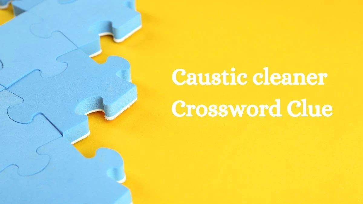 Caustic cleaner Crossword Clue Puzzle Answer from July 29, 2024