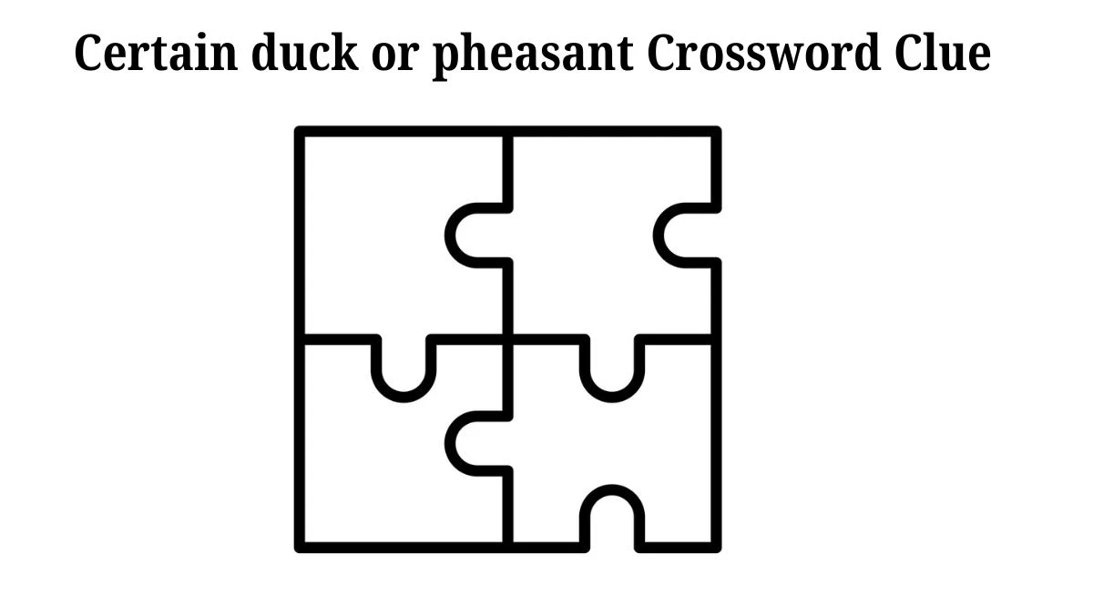 Certain duck or pheasant 7 Little Words Puzzle Answer from July 30, 2024