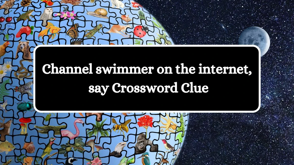 Channel swimmer on the internet, say Crossword Clue Puzzle Answer from July 27, 2024