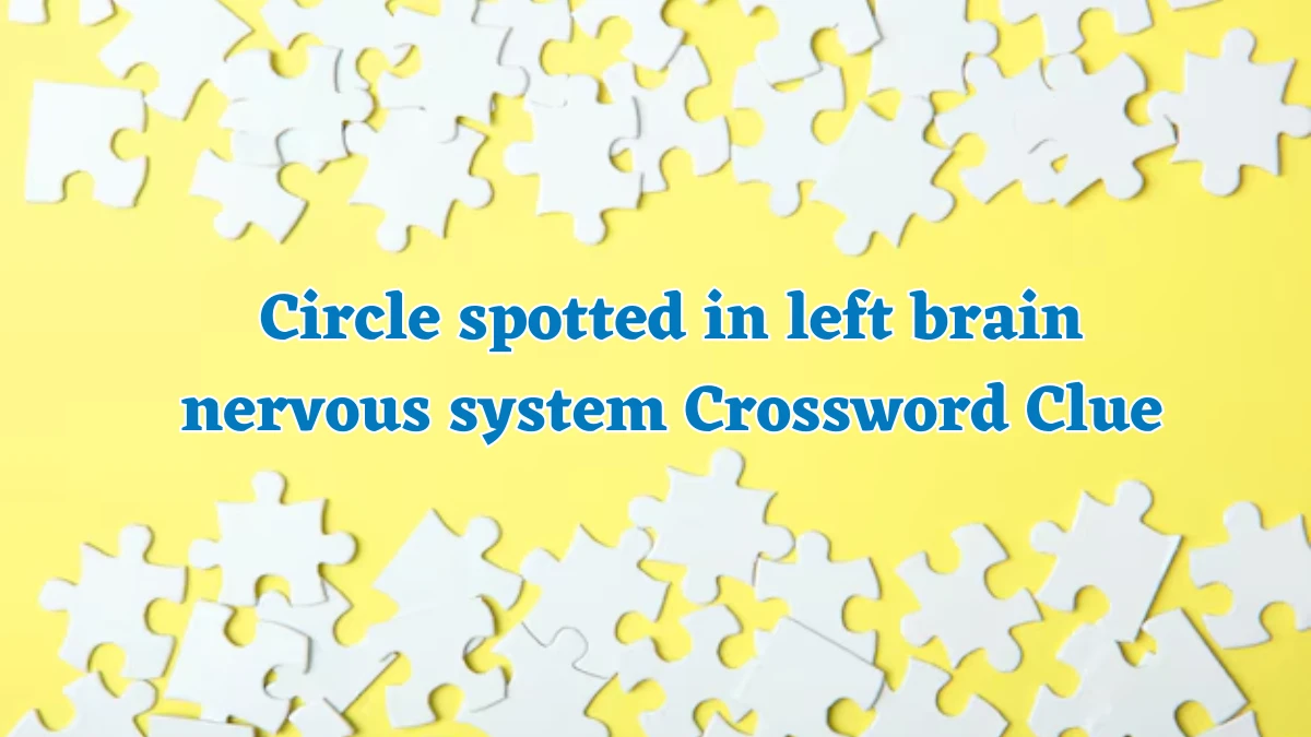 Circle spotted in left brain nervous system Crossword Clue Puzzle Answer from July 30, 2024