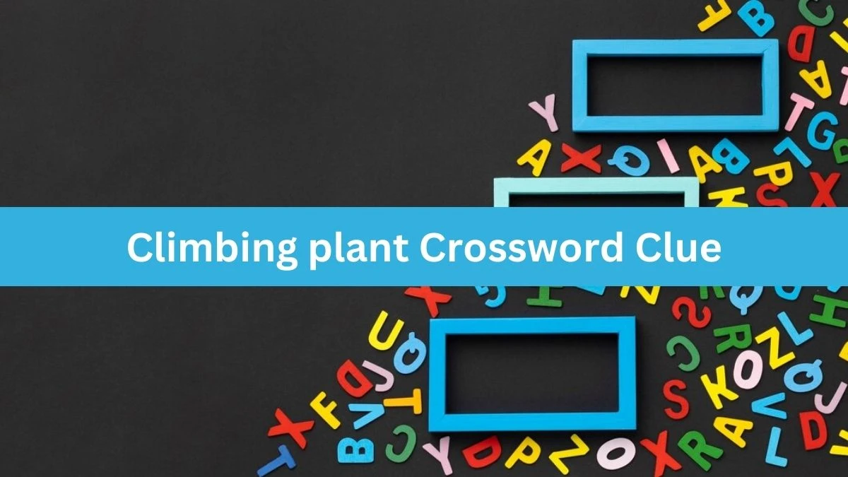 Climbing plant Daily Themed Crossword Clue Puzzle Answer from July 15, 2024