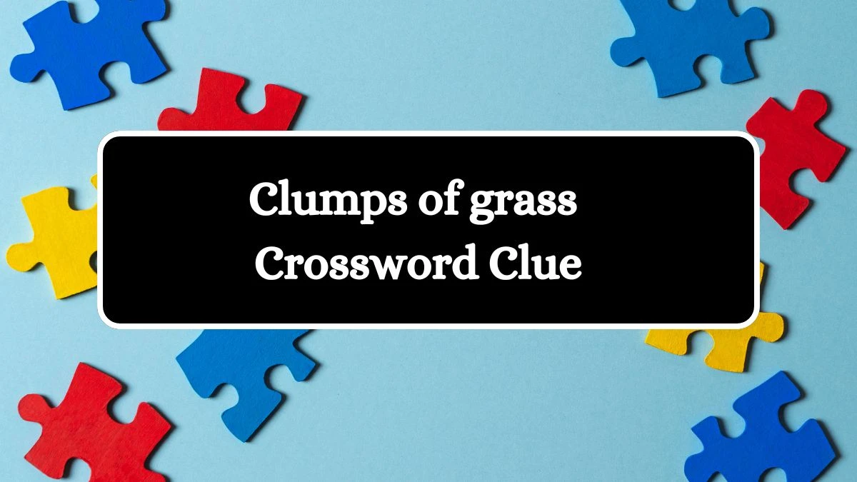 Clumps of grass Crossword Clue Puzzle Answer from July 11, 2024