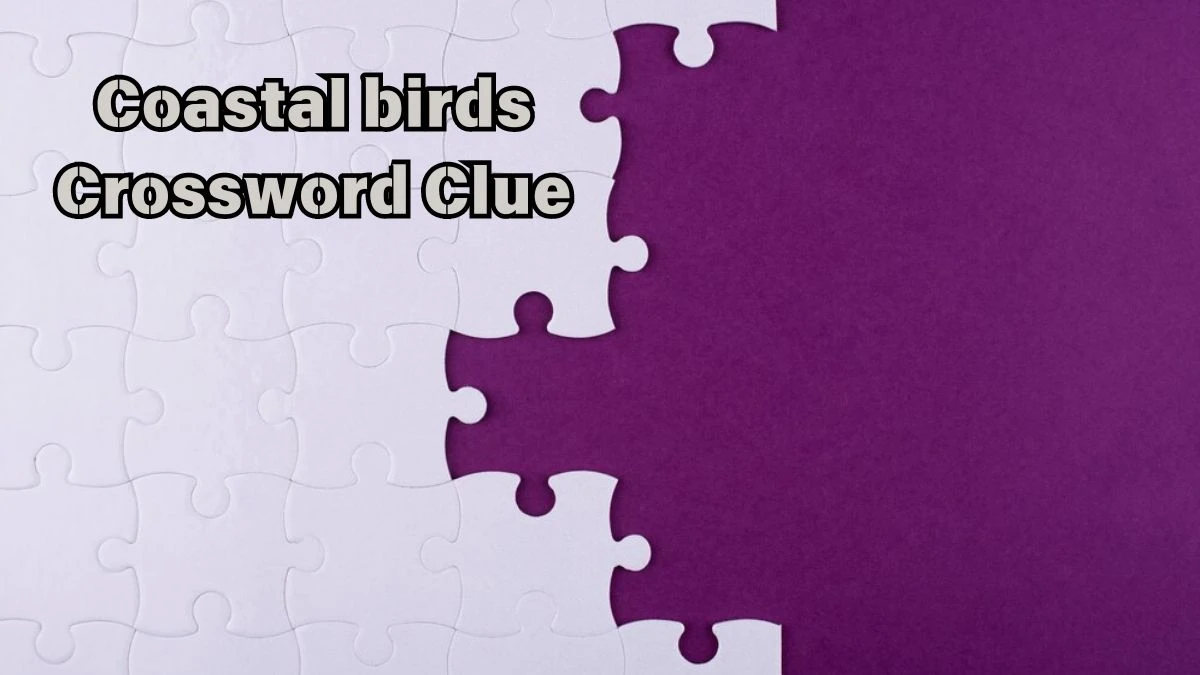 LA Times Coastal birds Crossword Clue Puzzle Answer from July 13, 2024