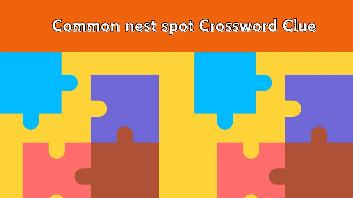 Common nest spot LA Times Crossword Clue Puzzle Answer from July 14, 2024