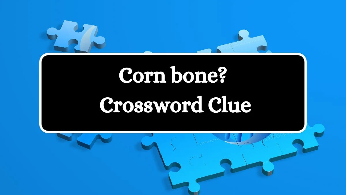 Corn bone? Daily Themed Crossword Clue Puzzle Answer from July 20, 2024