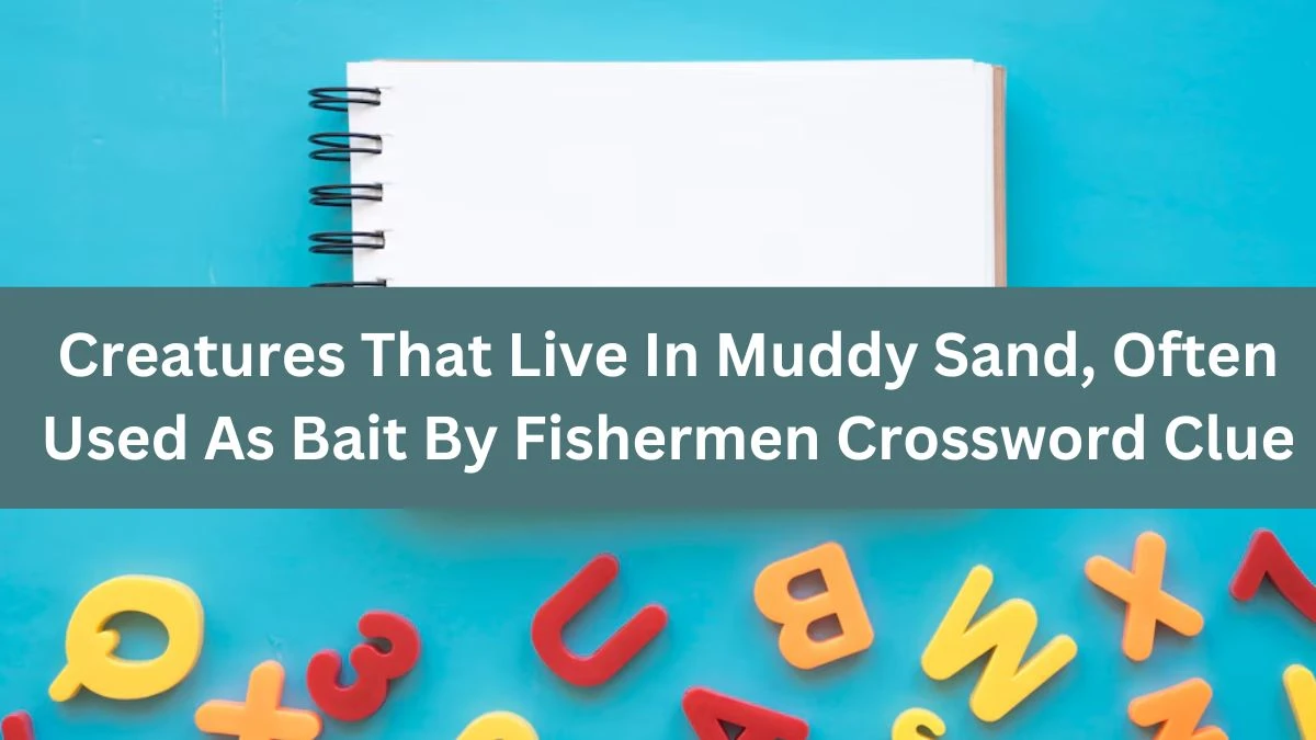 Creatures That Live In Muddy Sand, Often Used As Bait By Fishermen Crossword Clue Puzzle Answer from July 29, 2024