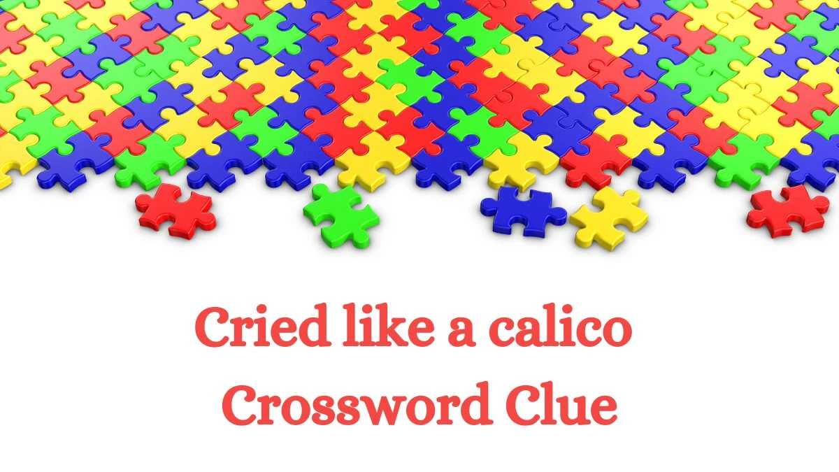 Cried like a calico LA Times Crossword Clue Puzzle Answer from July 02, 2024