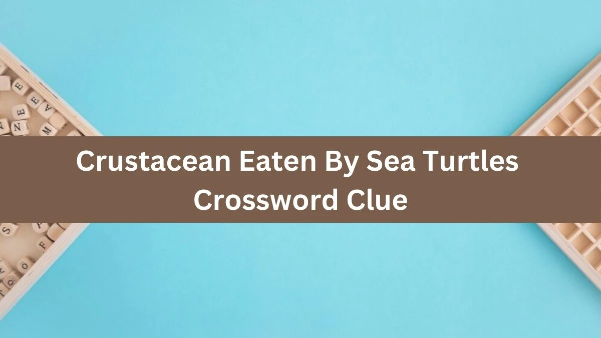 Crustacean Eaten By Sea Turtles LA Times Crossword Clue Puzzle Answer from July 16, 2024