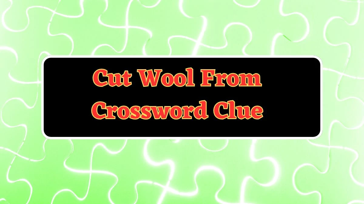 Cut Wool From Irish Daily Mail Quick Crossword Clue Puzzle Answer from July 03, 2024