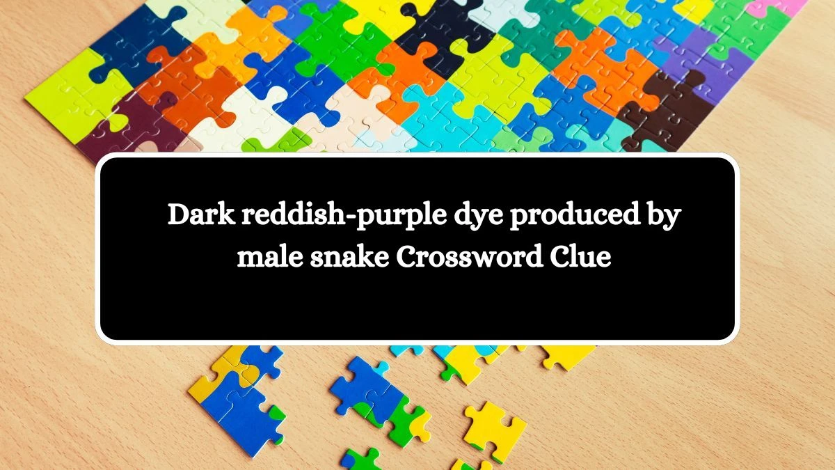 Dark reddish-purple dye produced by male snake Crossword Clue Puzzle Answer from July 14, 2024