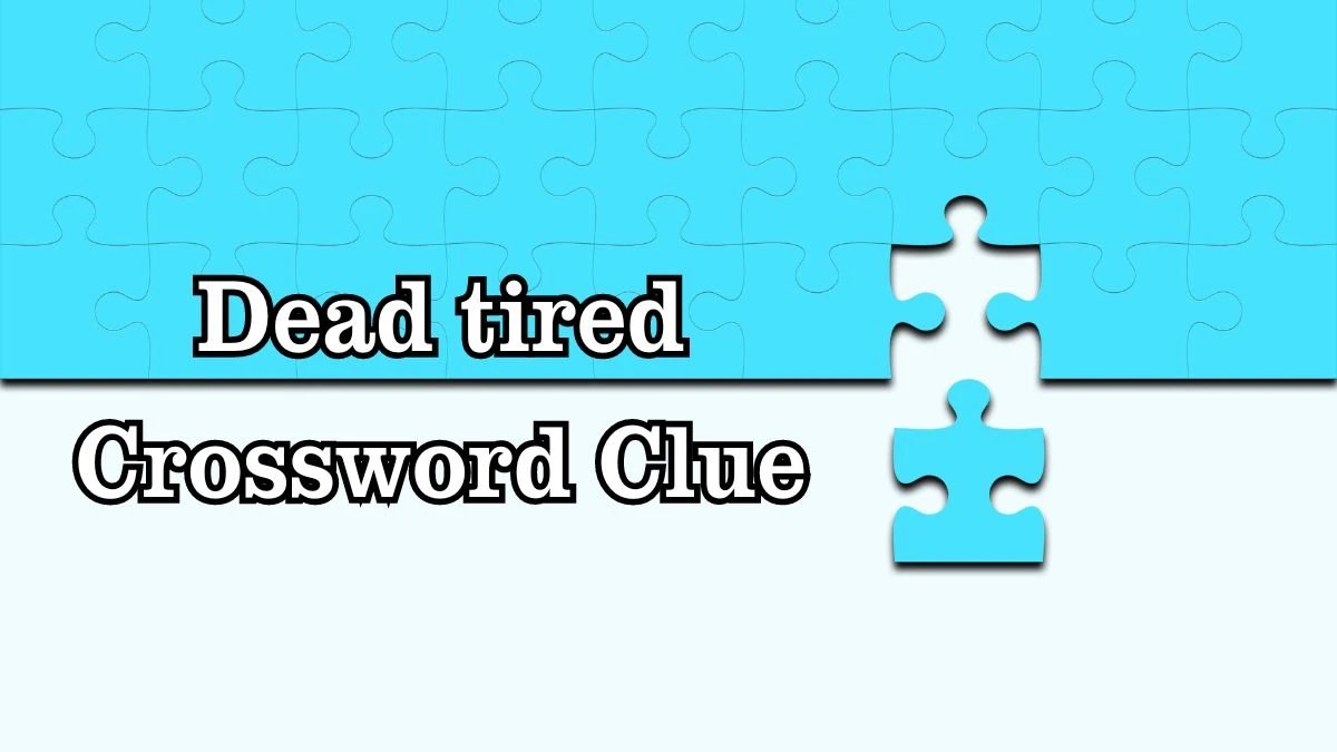 Daily Commuter Dead tired Crossword Clue Puzzle Answer from July 27, 2024