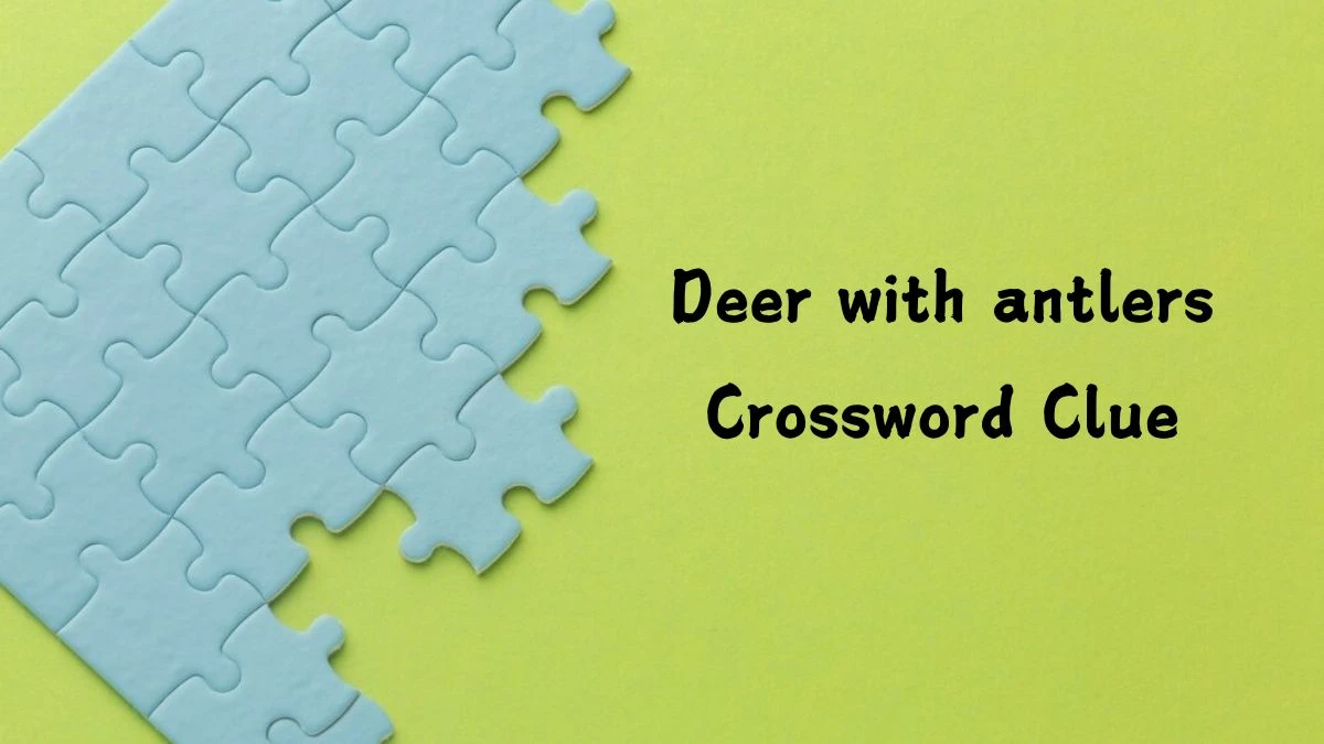 Daily Commuter Deer with antlers Crossword Clue 5 Letters Puzzle Answer from July 29, 2024