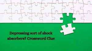 Depressing sort of shock absorbers? Crossword Clue Puzzle Answer from July 30, 2024