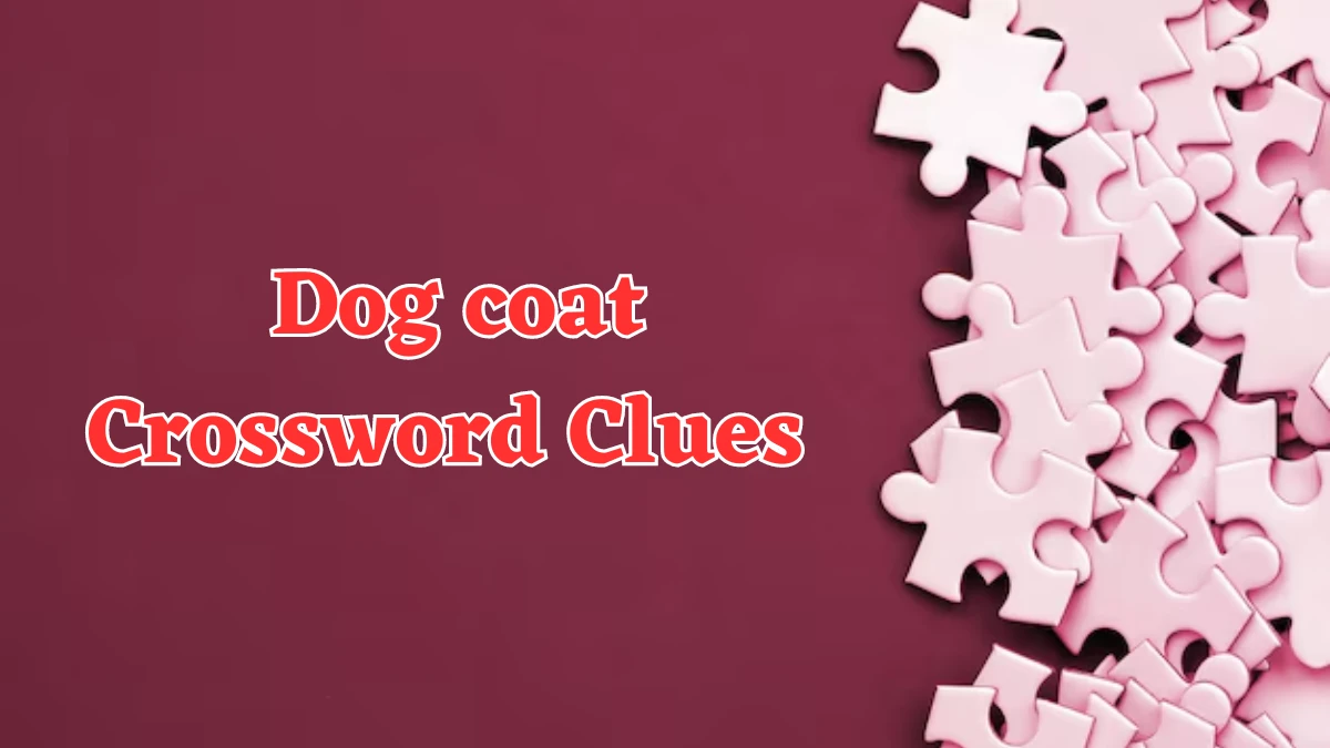 LA Times Dog coat Crossword Puzzle Answer from July 21, 2024