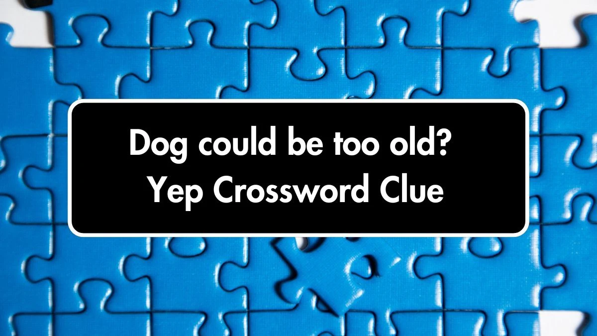 Dog could be too old? Yep (3,6) Crossword Clue Puzzle Answer from July 02, 2024