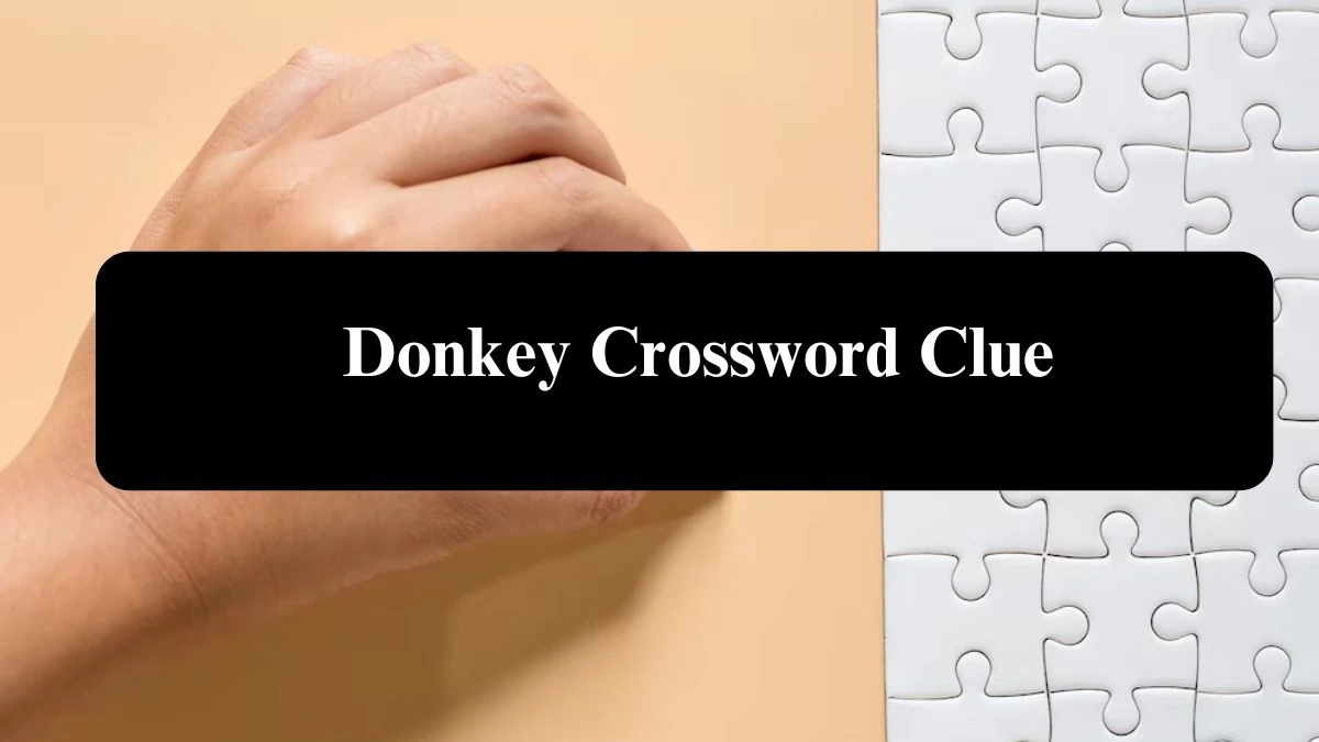 USA Today Donkey Crossword Clue Puzzle Answer from July 30, 2024