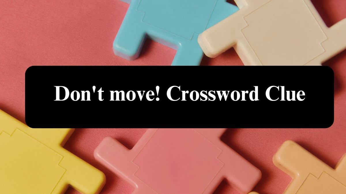 Don't move! Daily Themed Crossword Clue Puzzle Answer from July 23, 2024