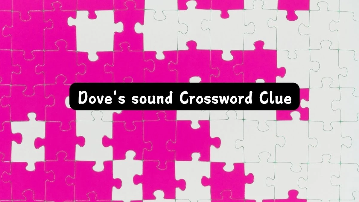 Dove's sound LA Times Crossword Clue Puzzle Answer from July 29, 2024