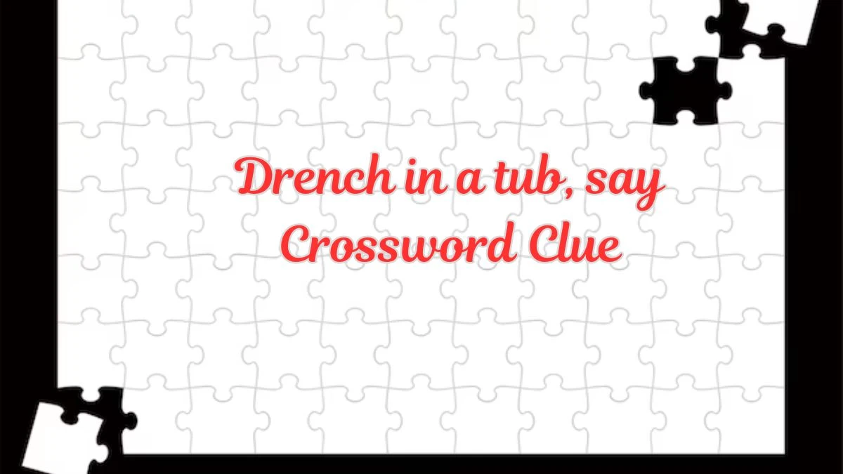 Drench in a tub, say Daily Themed Crossword Clue Puzzle Answer from July 19, 2024