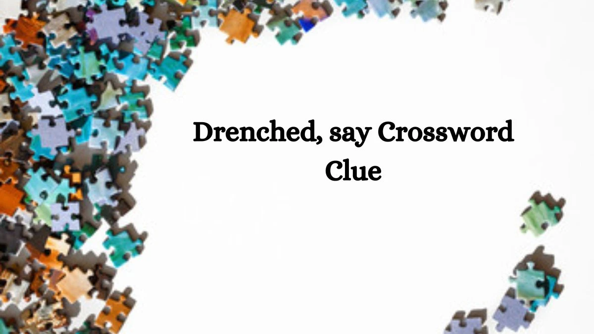 Drenched, say Daily Themed Crossword Clue Puzzle Answer from July 11, 2024