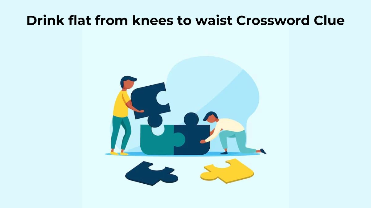 Drink flat from knees to waist Crossword Clue Puzzle Answer from July 13, 2024