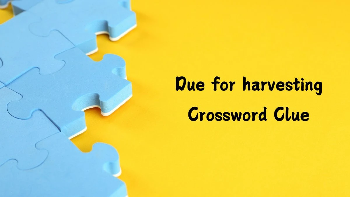 Due for harvesting Daily Commuter Crossword Clue Answers on July 15, 2024