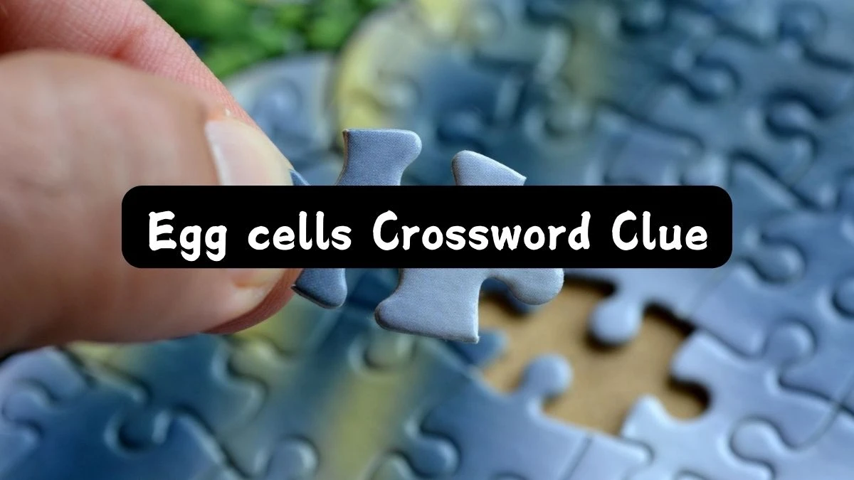 LA Times Egg cells Crossword Clue Puzzle Answer from July 25, 2024