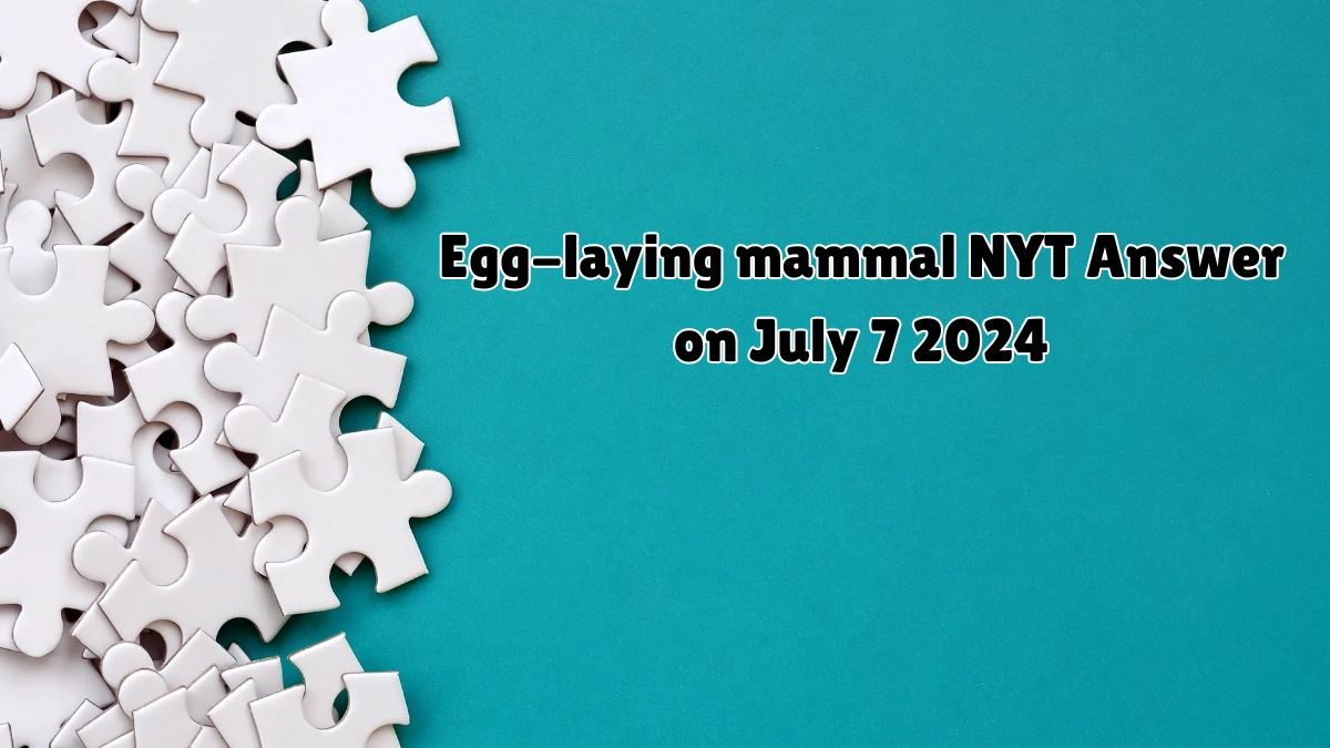 Egg-laying mammal NYT Crossword Clue Answer on July 07, 2024