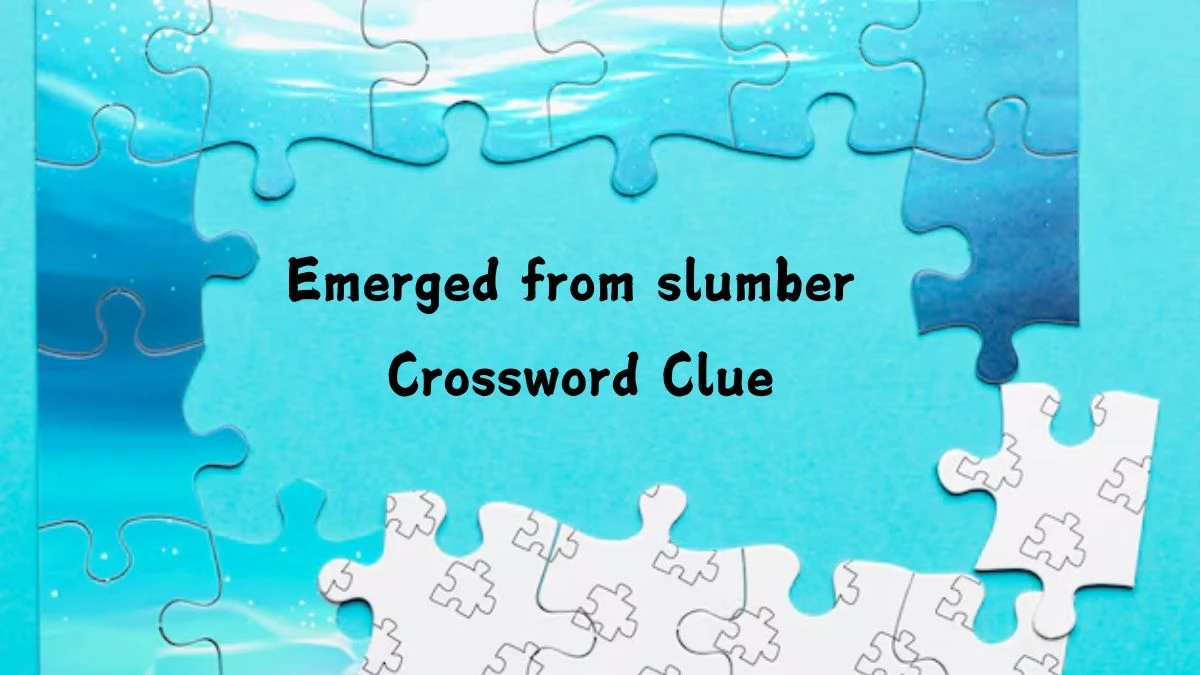 Emerged from slumber Crossword Clue Puzzle Answer from July 29, 2024