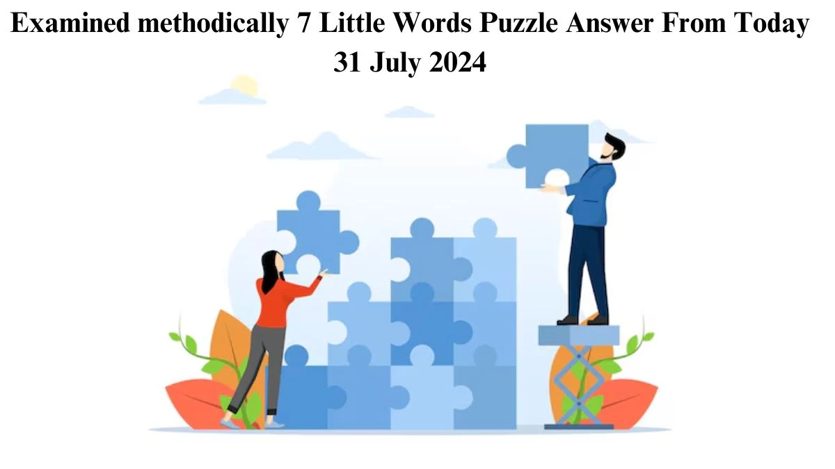 Examined methodically 7 Little Words Puzzle Answer from July 31, 2024