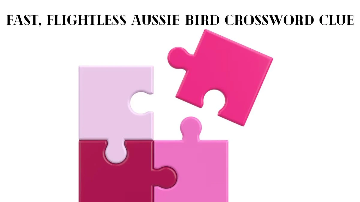 Fast, flightless Aussie bird Daily Themed Crossword Clue Puzzle Answer from July 07, 2024