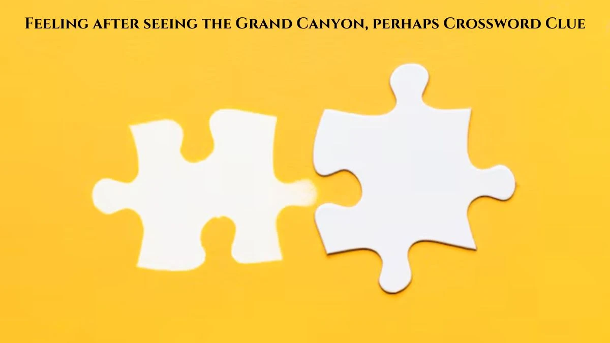 Feeling after seeing the Grand Canyon, perhaps Daily Themed Crossword Clue Answers on July 21, 2024