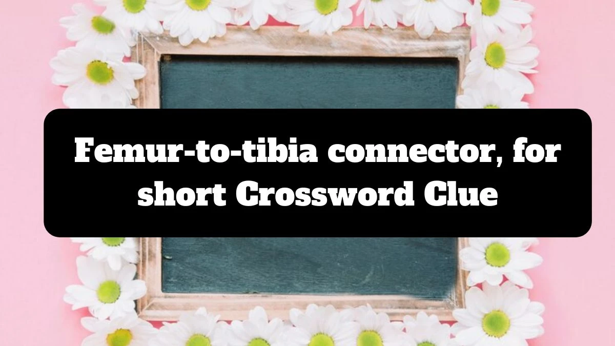 Femur-to-tibia connector, for short NYT Crossword Clue Answer on July 14, 2024